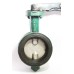 CI Butterfly Valve SS Disc (Racer)